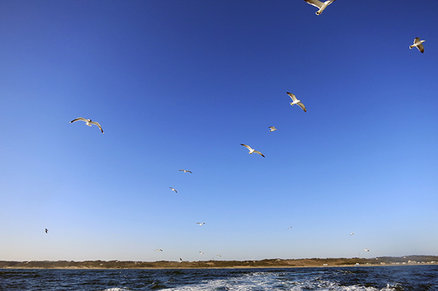 晴れの日にはこんな空が出迎えてくれます。