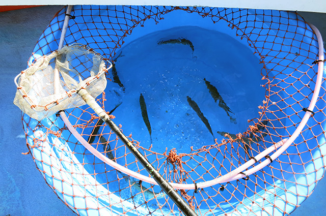 餌の用意は船宿で準備いたします。