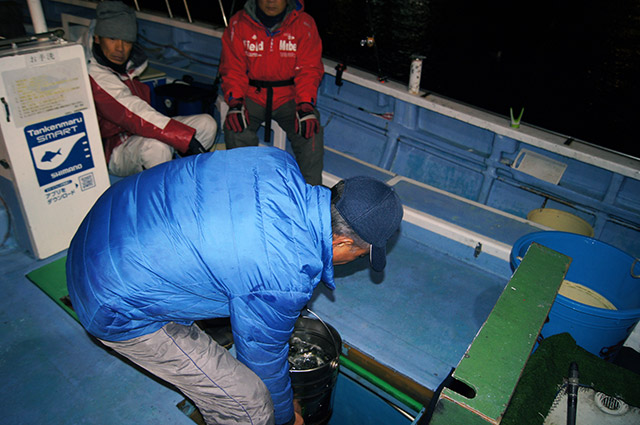 朝イワシを受け取り、イケスに入れます。