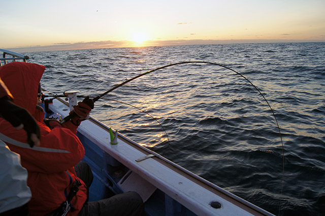朝日をバックにミヨシでもヒット!