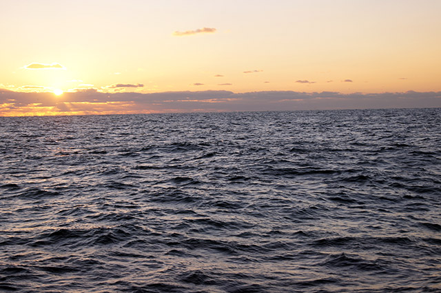 朝日がでてきました。これが沖釣りの醍醐味!