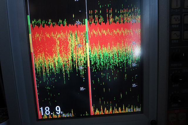 ベイトの反応がポツリポツリ写ります。