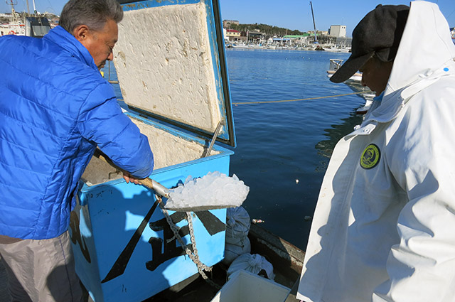 氷は帰港後、船長がクーラーに入れます。