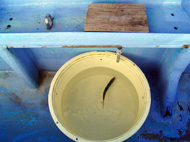 各釣り座キーパー用添え木&イケス完備