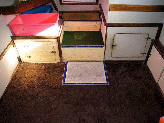 天井の高いキャビン